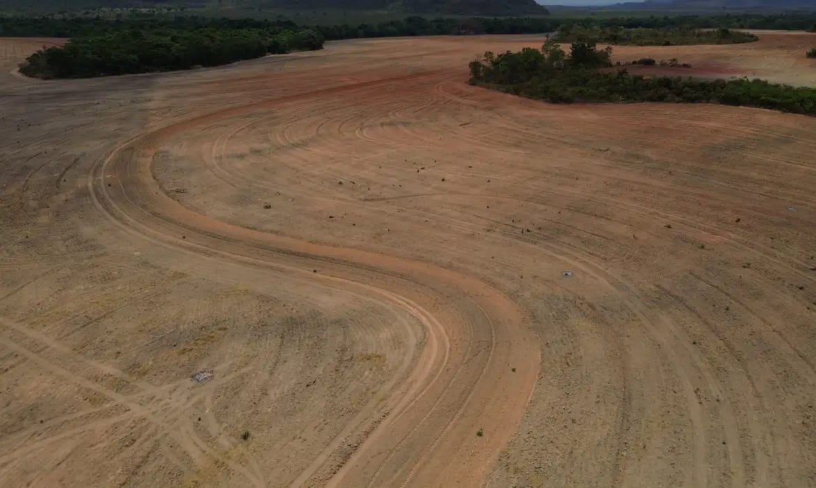 Fim da Moratória da Soja pode ampliar destruição da Amazônia