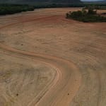 Fim da Moratória da Soja pode ampliar destruição da Amazônia
